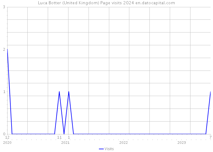Luca Botter (United Kingdom) Page visits 2024 