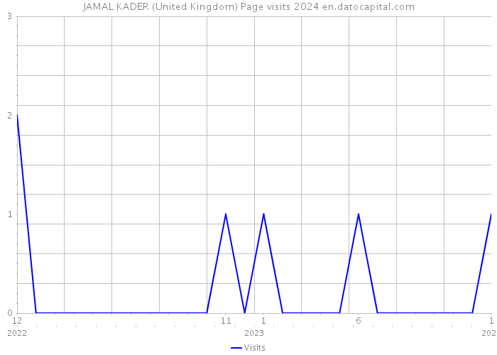 JAMAL KADER (United Kingdom) Page visits 2024 