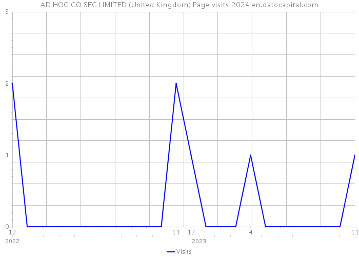 AD HOC CO SEC LIMITED (United Kingdom) Page visits 2024 