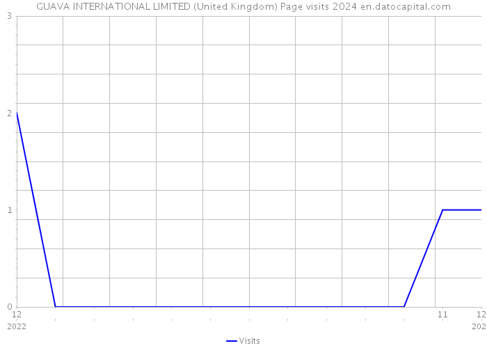 GUAVA INTERNATIONAL LIMITED (United Kingdom) Page visits 2024 