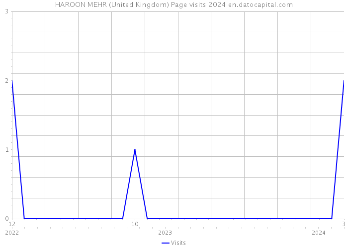 HAROON MEHR (United Kingdom) Page visits 2024 