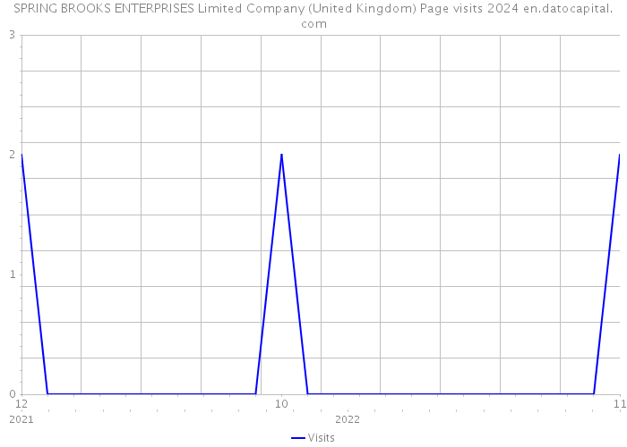 SPRING BROOKS ENTERPRISES Limited Company (United Kingdom) Page visits 2024 