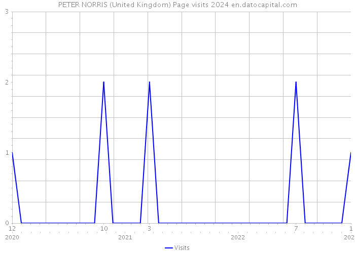 PETER NORRIS (United Kingdom) Page visits 2024 