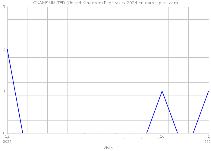 OXANE LIMITED (United Kingdom) Page visits 2024 