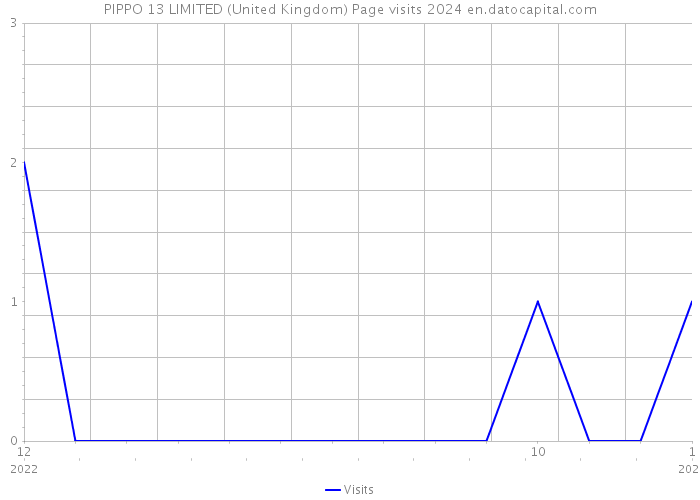 PIPPO 13 LIMITED (United Kingdom) Page visits 2024 