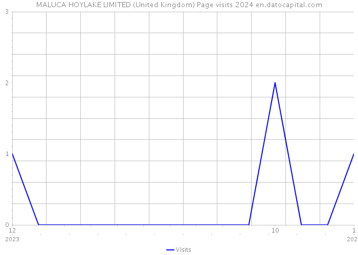 MALUCA HOYLAKE LIMITED (United Kingdom) Page visits 2024 