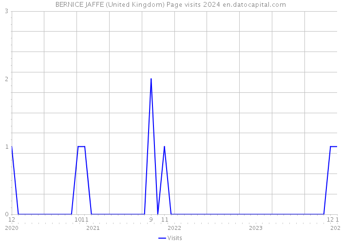BERNICE JAFFE (United Kingdom) Page visits 2024 