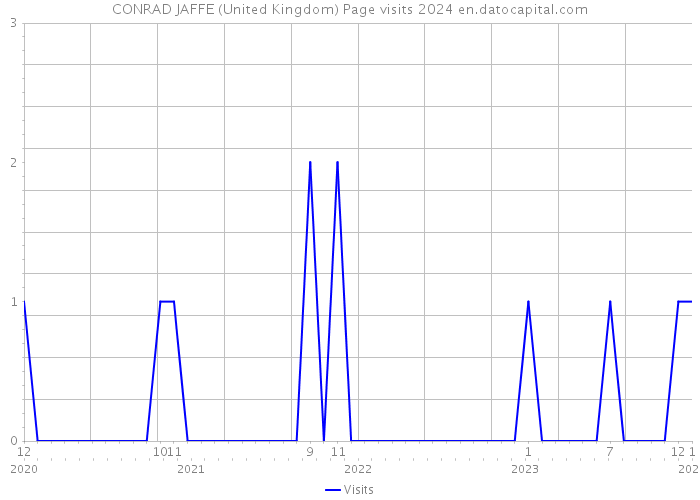 CONRAD JAFFE (United Kingdom) Page visits 2024 