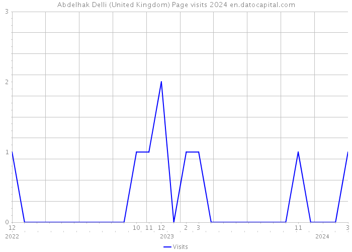 Abdelhak Delli (United Kingdom) Page visits 2024 