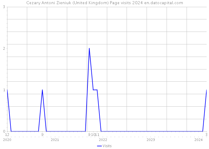 Cezary Antoni Zieniuk (United Kingdom) Page visits 2024 