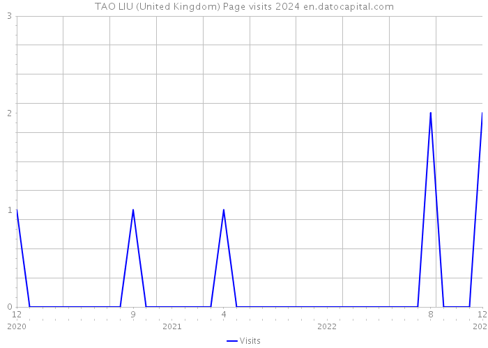 TAO LIU (United Kingdom) Page visits 2024 