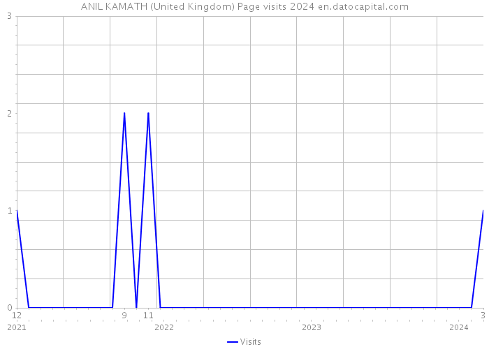 ANIL KAMATH (United Kingdom) Page visits 2024 