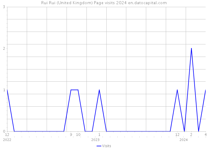 Rui Rui (United Kingdom) Page visits 2024 