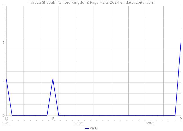 Feroza Shababi (United Kingdom) Page visits 2024 