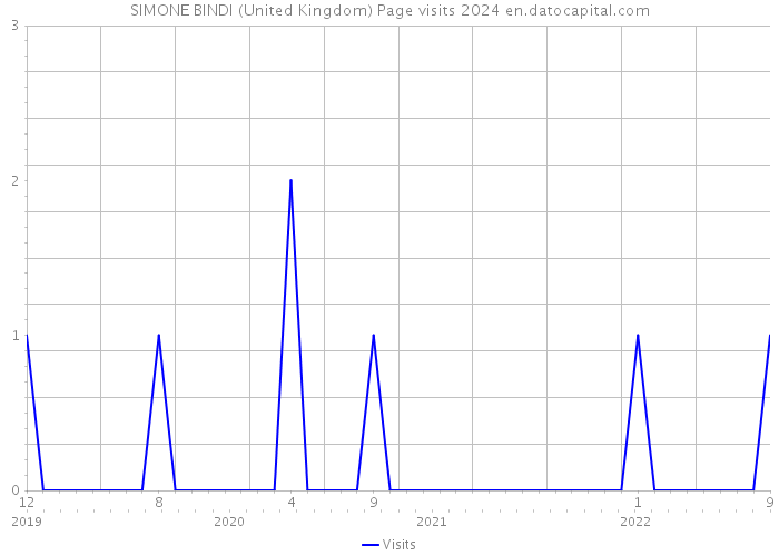 SIMONE BINDI (United Kingdom) Page visits 2024 