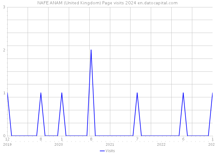 NAFE ANAM (United Kingdom) Page visits 2024 