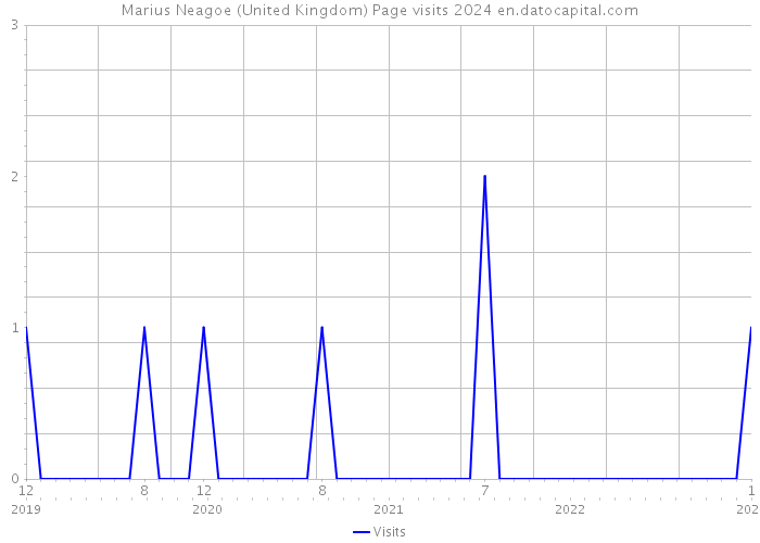 Marius Neagoe (United Kingdom) Page visits 2024 