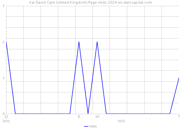 Kai David Cant (United Kingdom) Page visits 2024 