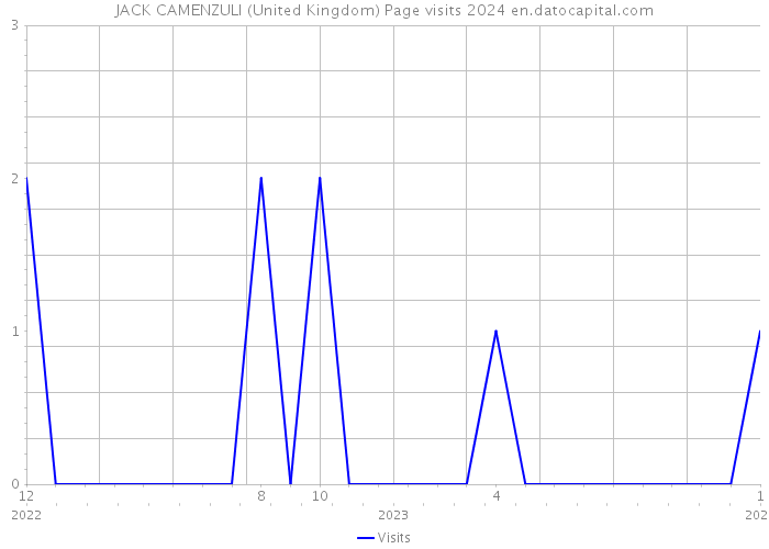 JACK CAMENZULI (United Kingdom) Page visits 2024 