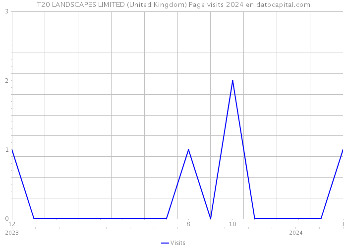 T20 LANDSCAPES LIMITED (United Kingdom) Page visits 2024 
