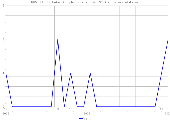 BIRGU LTD (United Kingdom) Page visits 2024 
