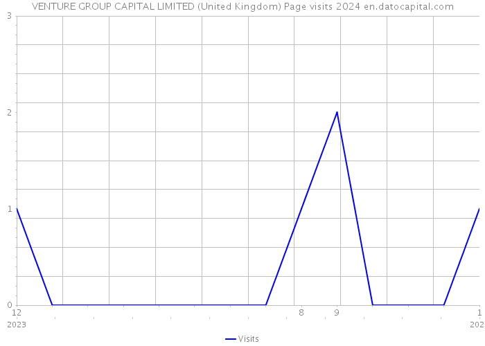 VENTURE GROUP CAPITAL LIMITED (United Kingdom) Page visits 2024 