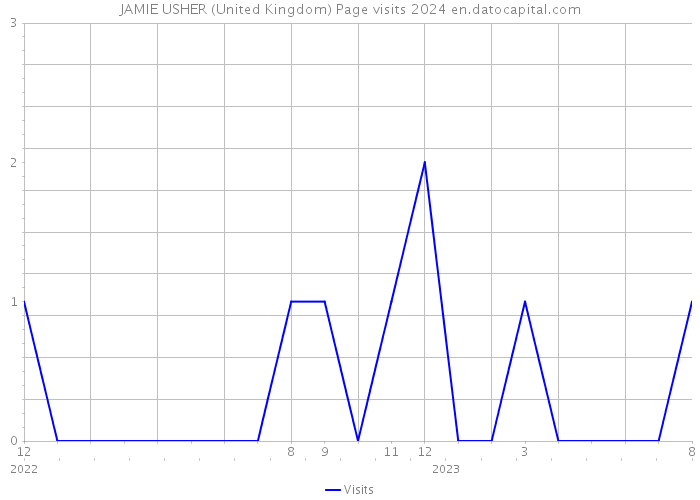 JAMIE USHER (United Kingdom) Page visits 2024 
