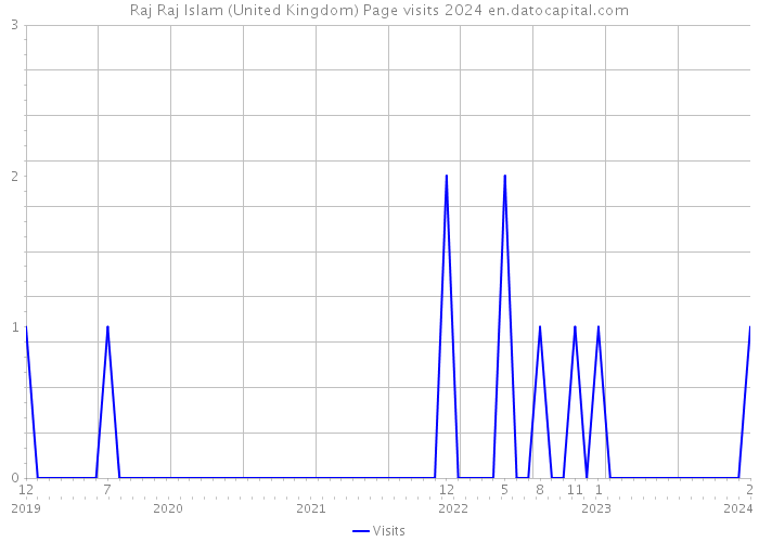 Raj Raj Islam (United Kingdom) Page visits 2024 