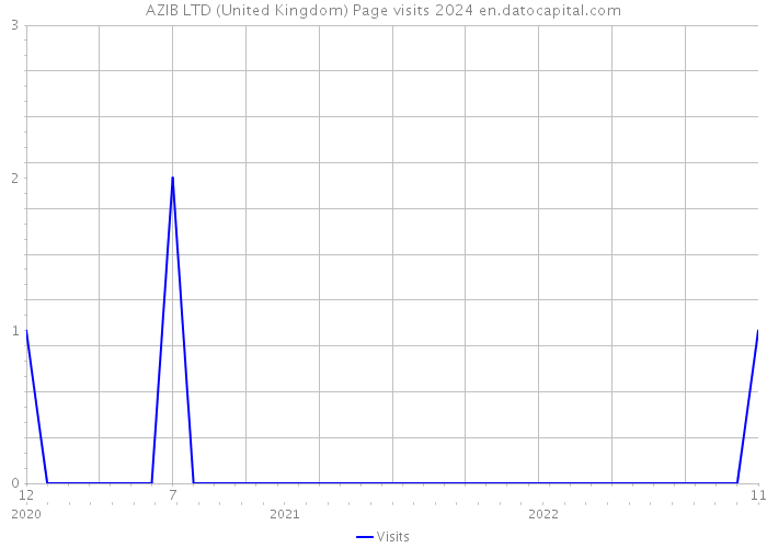 AZIB LTD (United Kingdom) Page visits 2024 