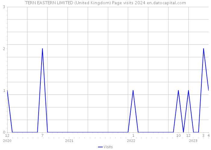 TERN EASTERN LIMITED (United Kingdom) Page visits 2024 