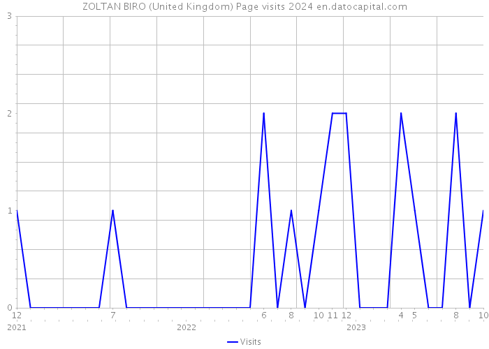 ZOLTAN BIRO (United Kingdom) Page visits 2024 