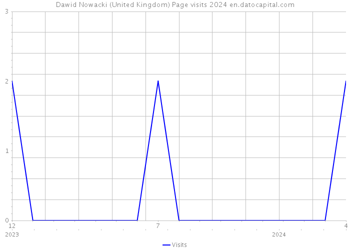 Dawid Nowacki (United Kingdom) Page visits 2024 