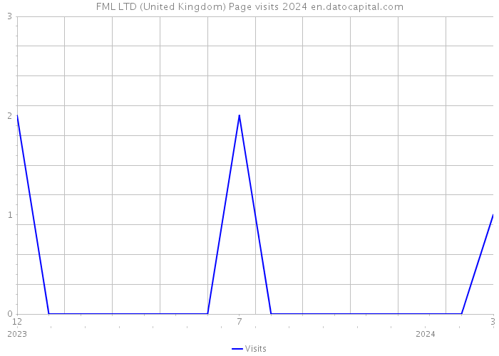 FML LTD (United Kingdom) Page visits 2024 