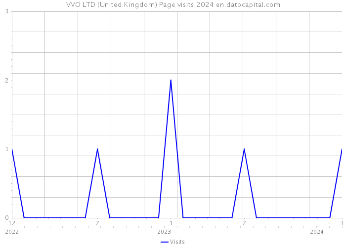 VVO LTD (United Kingdom) Page visits 2024 