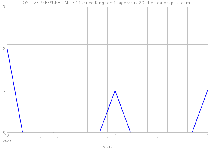 POSITIVE PRESSURE LIMITED (United Kingdom) Page visits 2024 