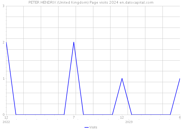 PETER HENDRIX (United Kingdom) Page visits 2024 