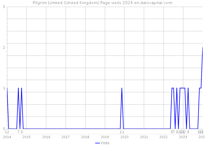 Pilgrim Limited (United Kingdom) Page visits 2024 