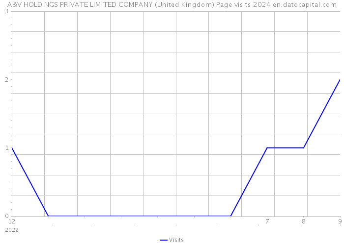 A&V HOLDINGS PRIVATE LIMITED COMPANY (United Kingdom) Page visits 2024 