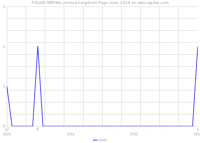 FOUAD SERHAL (United Kingdom) Page visits 2024 