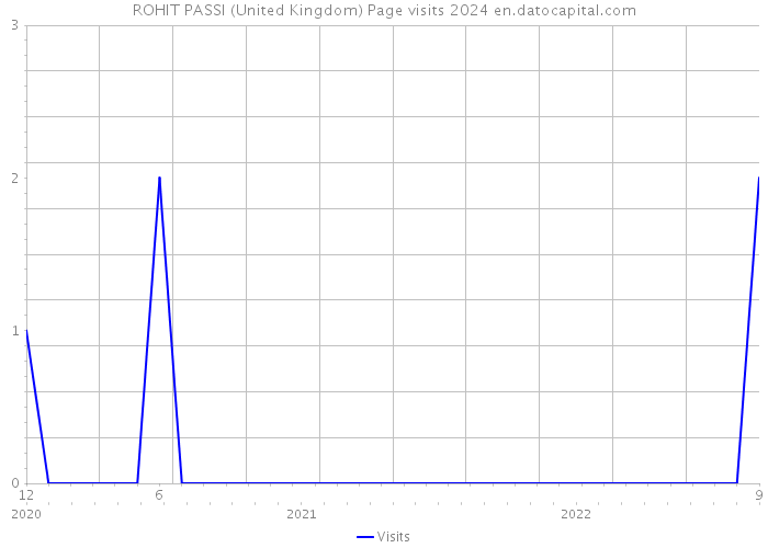ROHIT PASSI (United Kingdom) Page visits 2024 