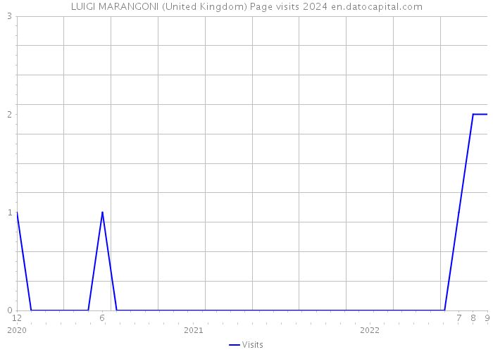 LUIGI MARANGONI (United Kingdom) Page visits 2024 
