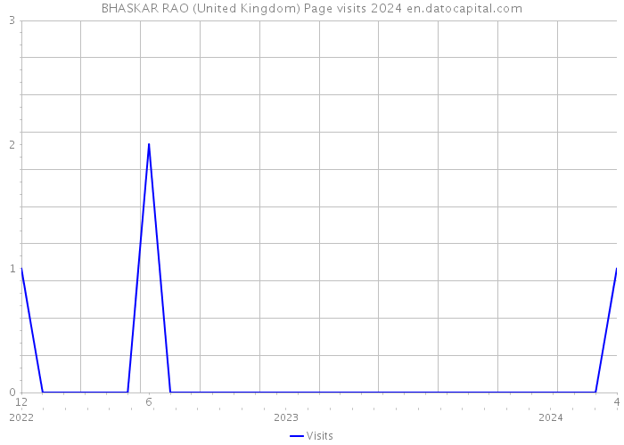 BHASKAR RAO (United Kingdom) Page visits 2024 