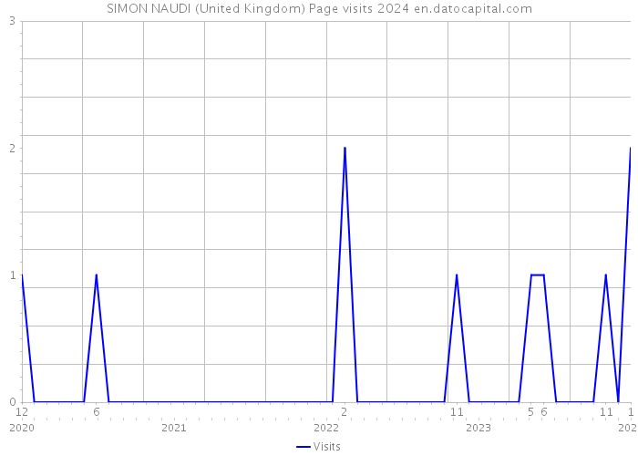 SIMON NAUDI (United Kingdom) Page visits 2024 