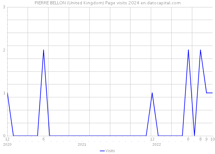 PIERRE BELLON (United Kingdom) Page visits 2024 