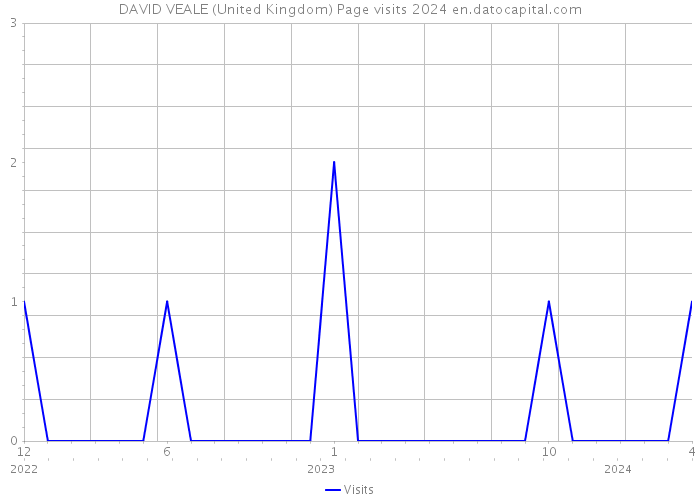 DAVID VEALE (United Kingdom) Page visits 2024 