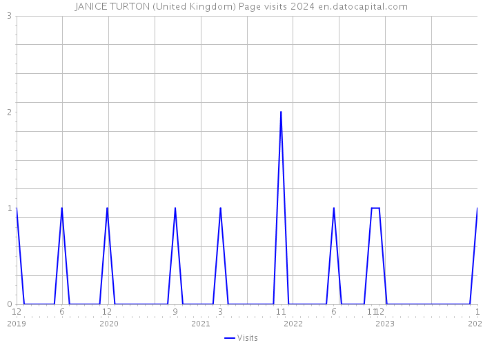JANICE TURTON (United Kingdom) Page visits 2024 