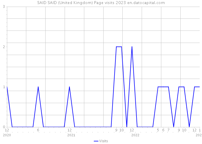 SAID SAID (United Kingdom) Page visits 2023 