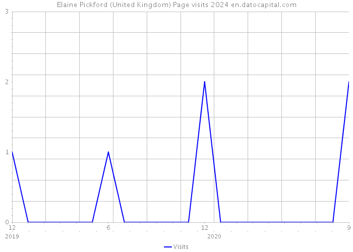 Elaine Pickford (United Kingdom) Page visits 2024 