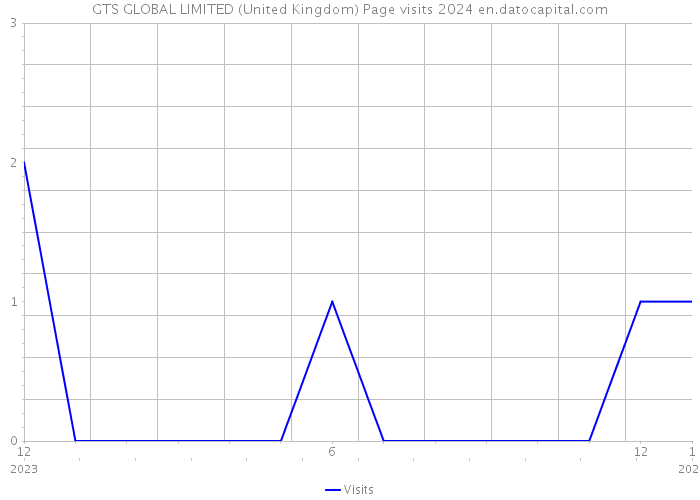 GTS GLOBAL LIMITED (United Kingdom) Page visits 2024 