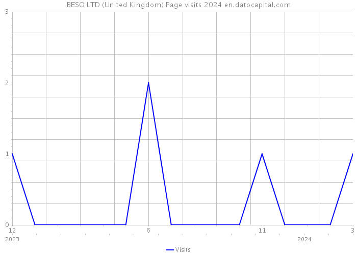 BESO LTD (United Kingdom) Page visits 2024 
